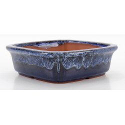 Bonsai pot CCH470 SHIWAN XENJI