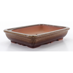 Bonsai pot CCH468 SHIWAN XENJI view 2