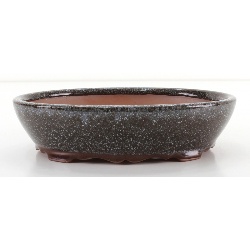 Bonsai pot CCH462 SHIWAN XENJI