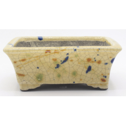 Bonsai pot TER552 TERAHATA SATOMI view 1