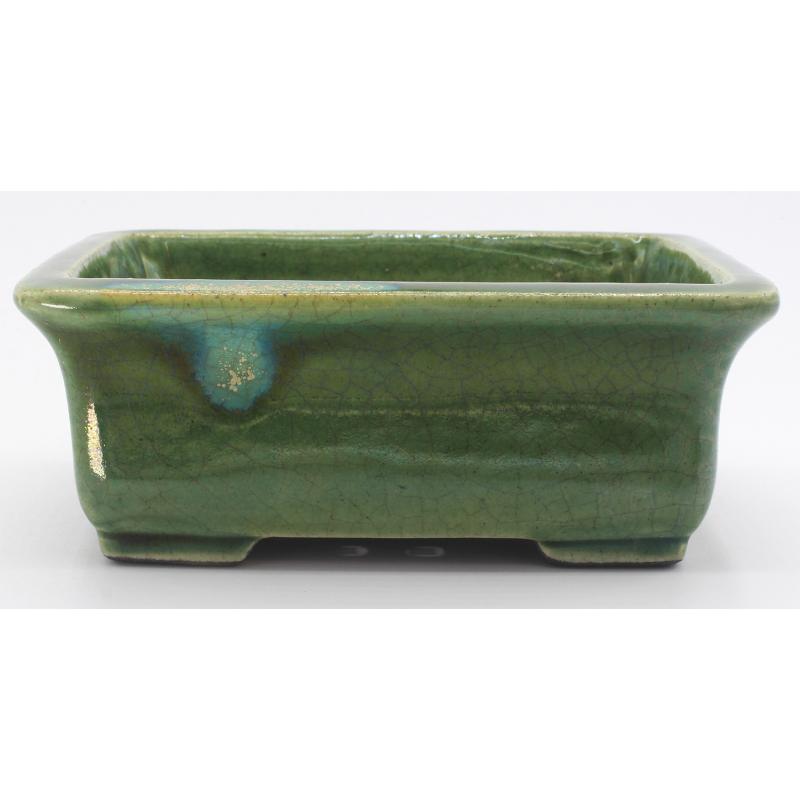 Bonsai pot TER554 TERAHATA SATOMI view 1