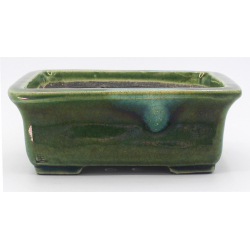 Bonsai pot TER555 TERAHATA SATOMI view 1