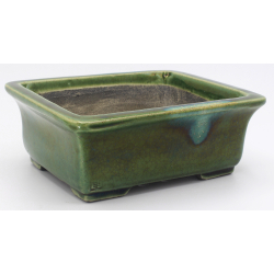 Bonsai pot TER555 TERAHATA SATOMI view 2