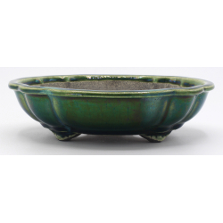 Bonsai pot TER556 TERAHATA SATOMI view 1