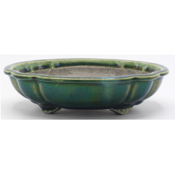 Bonsai pot TER557 TERAHATA SATOMI view 1