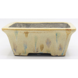 Bonsai pot TER567 TERAHATA SATOMI view 1