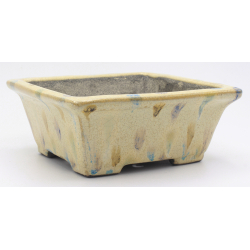 Bonsai pot TER568 TERAHATA SATOMI view 2