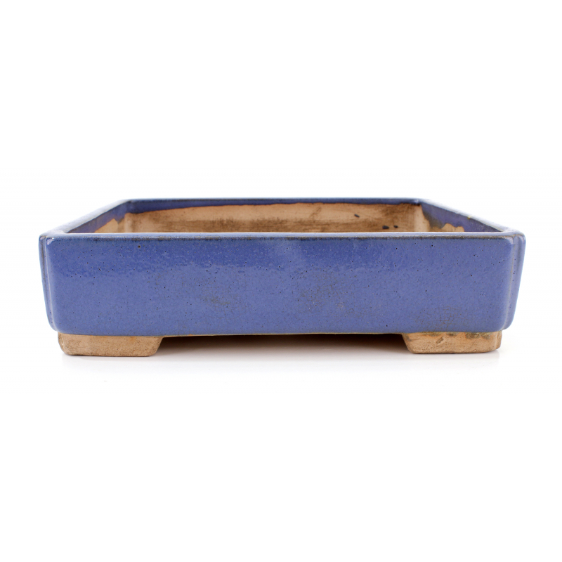 Bonsai pot JTA8057 INO SHUKUHO Bonsai pot JTA8057 INO SHUKUHO