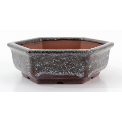 Bonsai pot CCH628 SHIWAN XENJI view 2