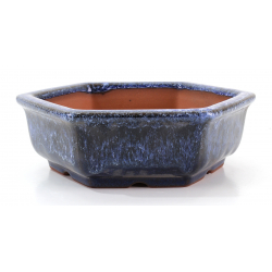 Bonsai pot CCH627 SHIWAN XENJI view 2