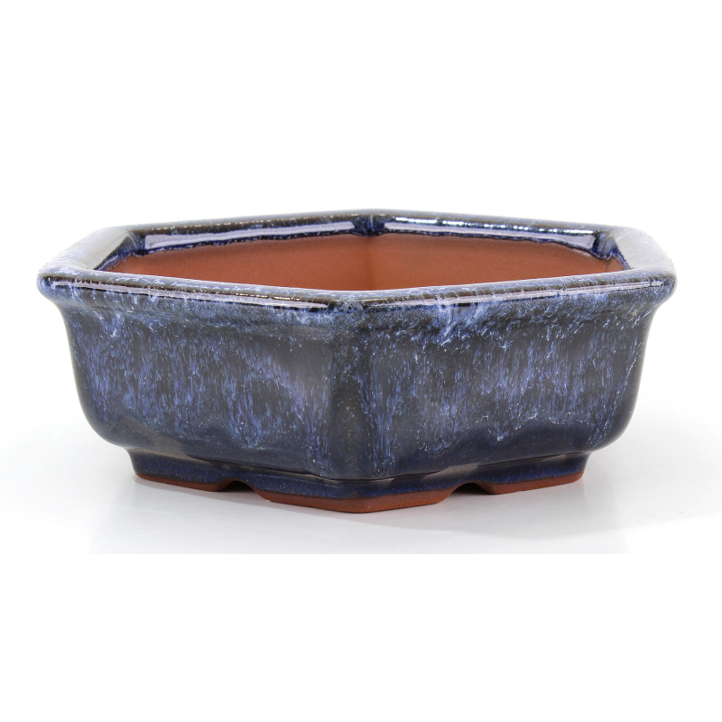 Bonsai pot CCH627 SHIWAN XENJI