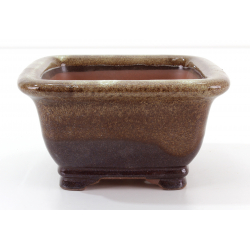 Bonsai pot CCH491 SHIWAN XENJI view 2