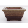 Bonsai pot CCH490 SHIWAN XENJI view 5