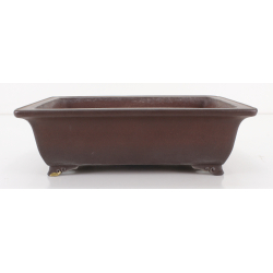 Bonsai pot JTA8030 YAMAAKI TOSHIO