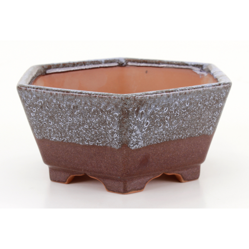 Bonsai pot CCH625 SHIWAN XENJI