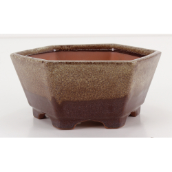 Bonsai pot CCH626 SHIWAN XENJI view 2