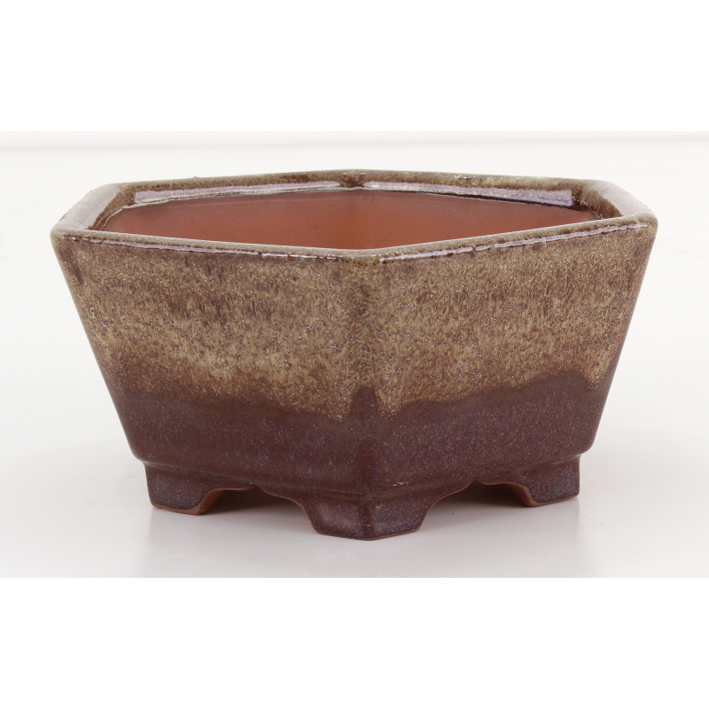 Bonsai pot CCH626 SHIWAN XENJI