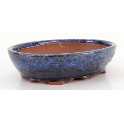 Bonsai pot CCH600 SHIWAN XENJI view 2