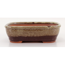 Bonsai pot CCH630 SHIWAN XENJI