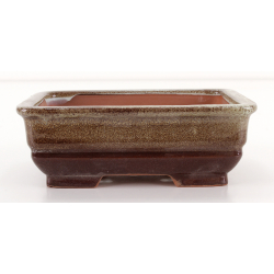 Bonsai pot CCH629 SHIWAN XENJI