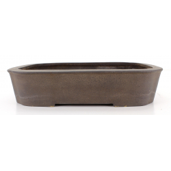 Bonsai pot JTA8060 KOYO KOUICHIROU