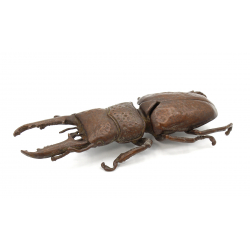 Japanese copper-bronze tenpai 115 giant beetle