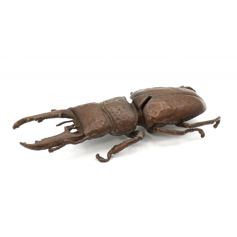 Tenpai japonés cobre-bronce 115 escarabajo gigante