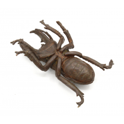 Tenpai japonés cobre-bronce 117 escarabajo vista 3