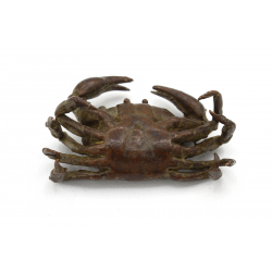 Tenpai japonés cobre-bronce 119 cangrejo vista 3