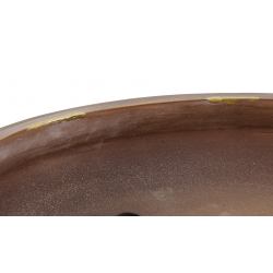 Bonsai pot JTA8028 IZUMI-YA ZENIGO view 6