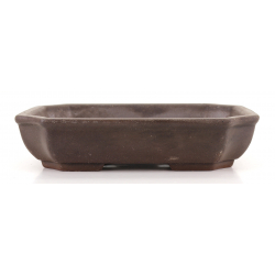 Bonsai pot CCH639 SHIWAN XENJI