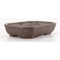 Bonsai pot CCH639 SHIWAN XENJI view 2