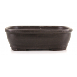 Bonsai pot CCH638 SHIWAN XENJI