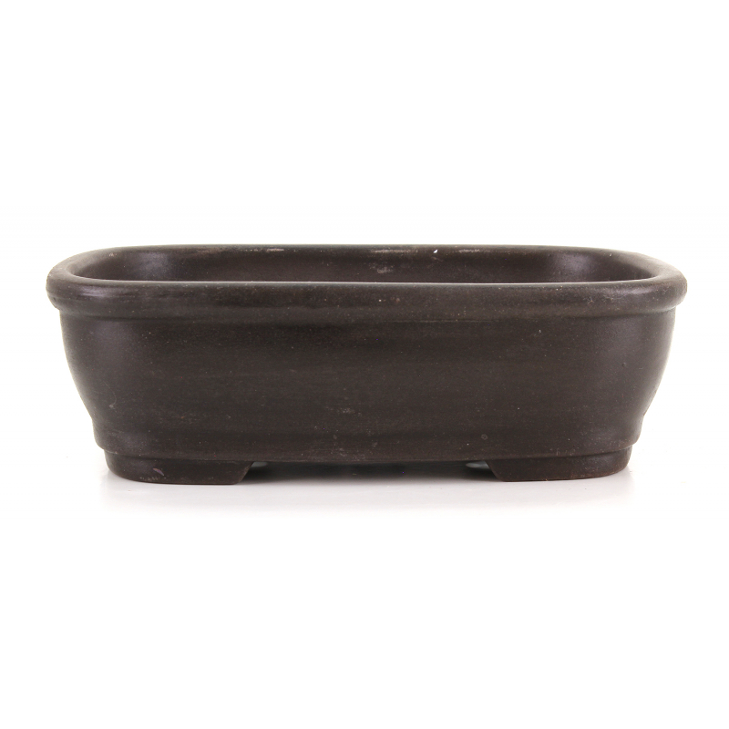 Bonsai pot CCH638 SHIWAN XENJI