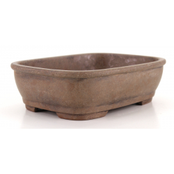 Bonsai pot CCH638 SHIWAN XENJI view 4