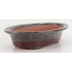 Bonsai pot CCH631 SHIWAN XENJI view 2