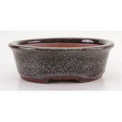 Bonsai pot CCH635 SHIWAN XENJI