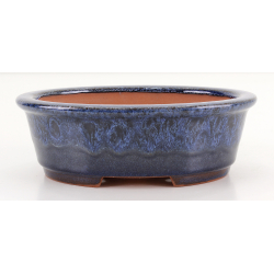 Bonsai pot CCH634 SHIWAN XENJI