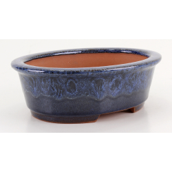 Bonsai pot CCH634 SHIWAN XENJI view 2