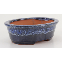 Bonsai pot CCH634 SHIWAN XENJI view 4