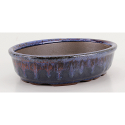 Bonsai pot CCH633 SHIWAN XENJI view 4