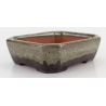 Bonsai pot CCH614 SHIWAN XENJI view 2