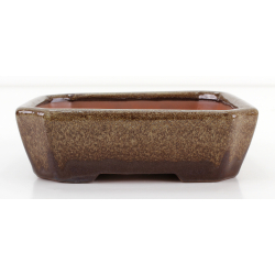 Bonsai pot CCH614 SHIWAN XENJI view 3