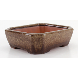 Bonsai pot CCH614 SHIWAN XENJI view 4