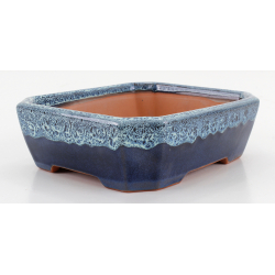 Bonsai pot CCH615 SHIWAN XENJI view 2