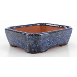 Bonsai pot CCH615 SHIWAN XENJI view 4