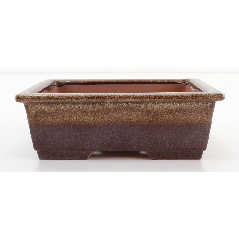 Bonsai pot CCH613 SHIWAN XENJI