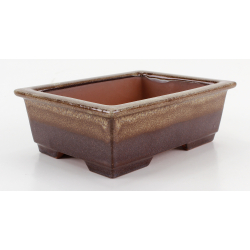 Bonsai pot CCH613 SHIWAN XENJI view 2