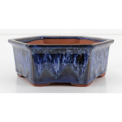 Bonsai pot CCH623 SHIWAN XENJI view 3