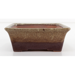 Bonsai pot CCH620 SHIWAN XENJI